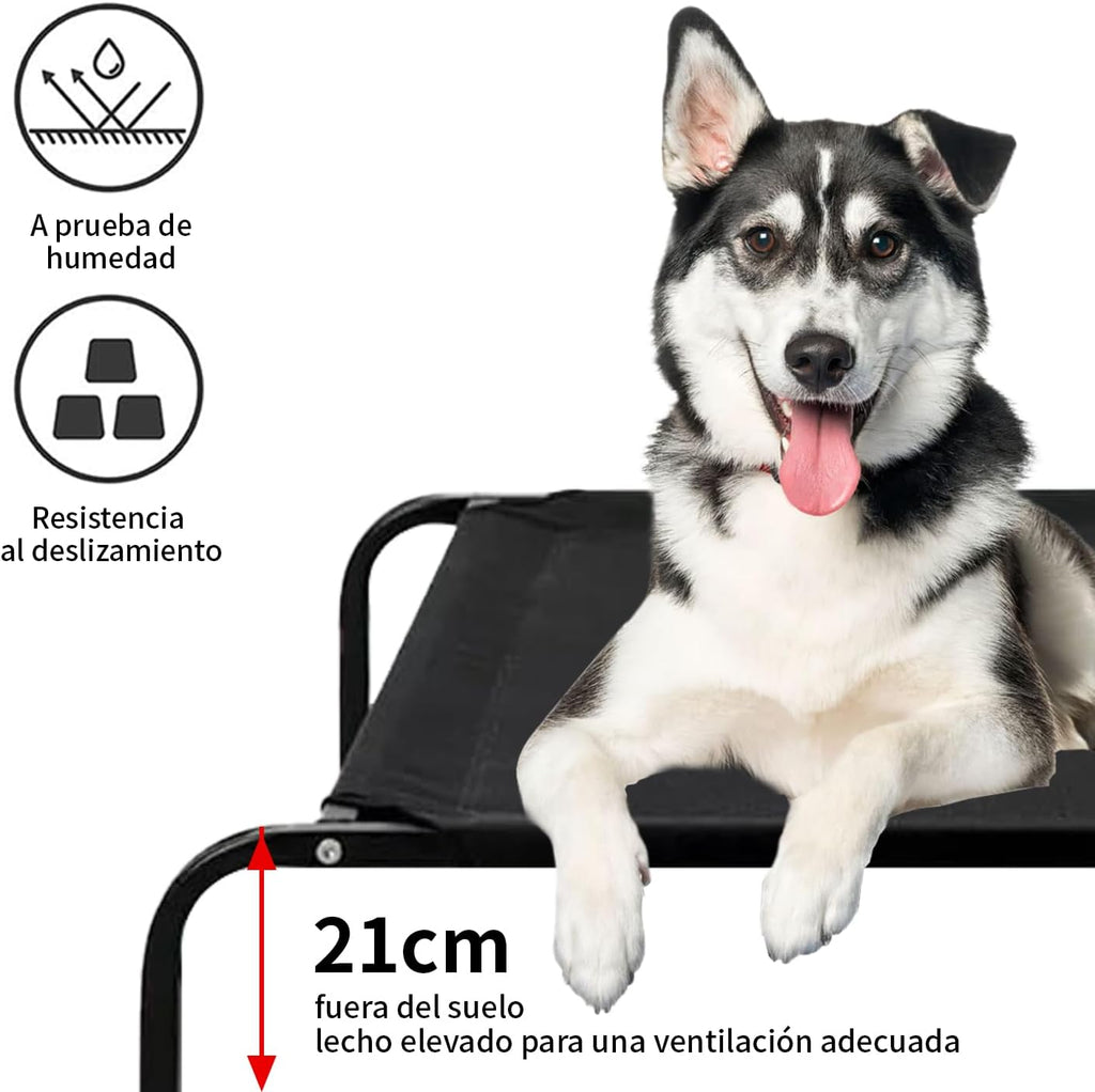 👉 Cama Elevada Premium para Perros (Transpirable + Portátil)