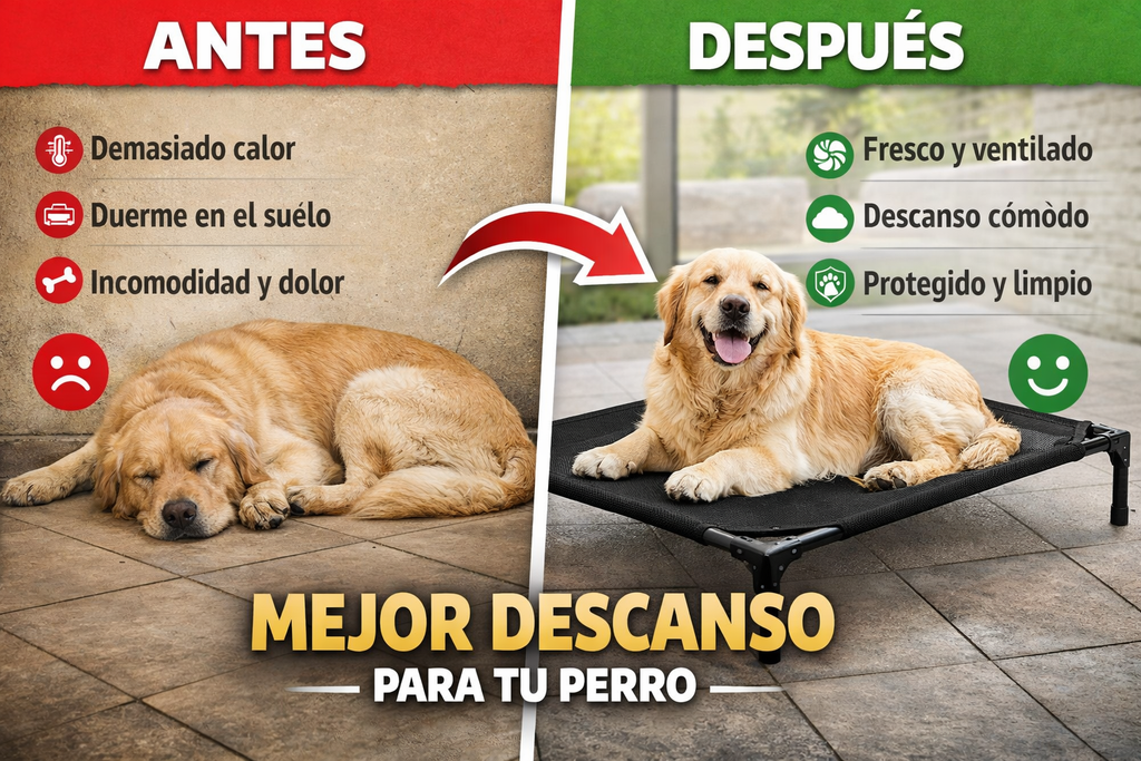 👉 Cama Elevada Premium para Perros (Transpirable + Portátil)